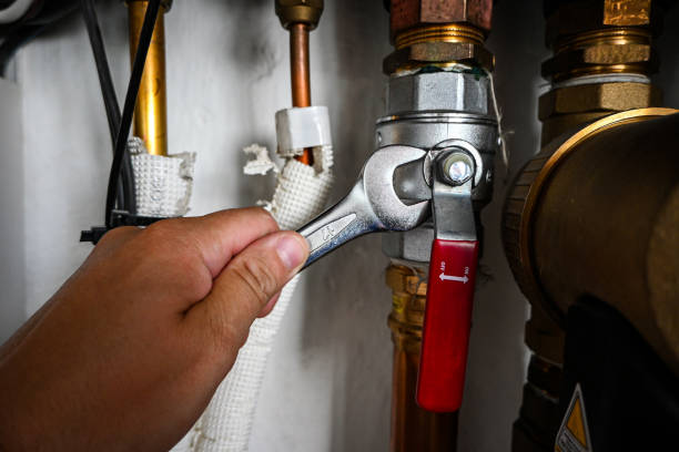 Best Toilet Repair Services  in Clinton, MO